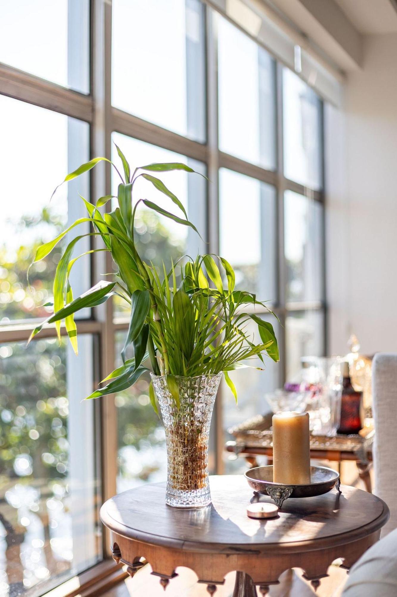 Apartamento Vista Mar E Vista Pao De Acucar Rio de Janeiro Ngoại thất bức ảnh